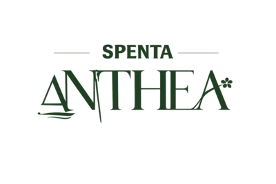 Spenta Anthea Model Town Versova Logo Logo